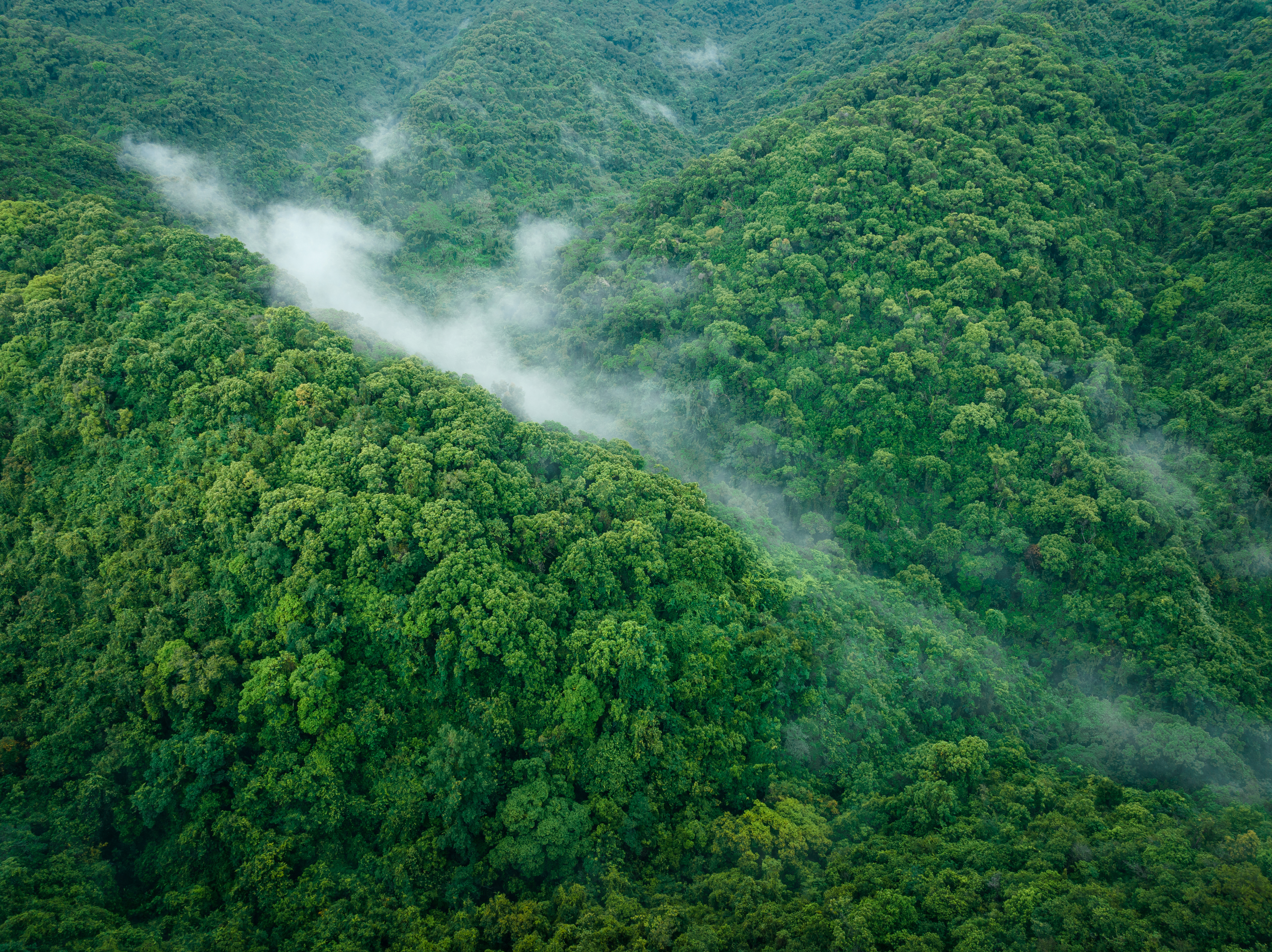 Nicoya Peninsula Land Connections